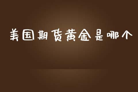 美国期货黄金是哪个_https://www.apanben.com_国际期货_第1张