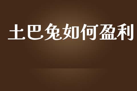 土巴兔如何盈利_https://www.apanben.com_股票怎么玩_第1张