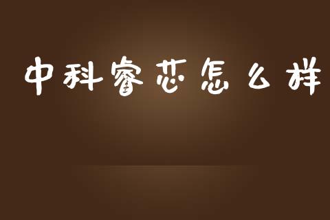 中科睿芯怎么样_https://www.apanben.com_国际期货_第1张
