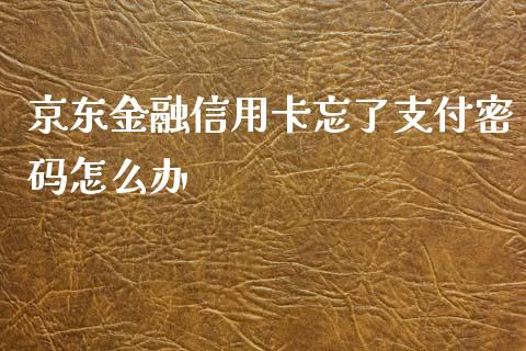 京东金融信用卡忘了支付密码怎么办_https://www.apanben.com_财经资讯_第1张