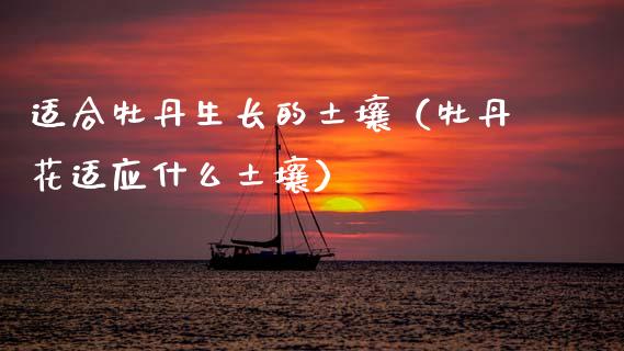 适合牡丹生长的土壤（牡丹花适应什么土壤）_https://www.apanben.com_期货学院_第1张