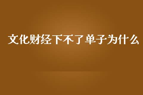 文化财经下不了单子为什么_https://www.apanben.com_股市分析_第1张
