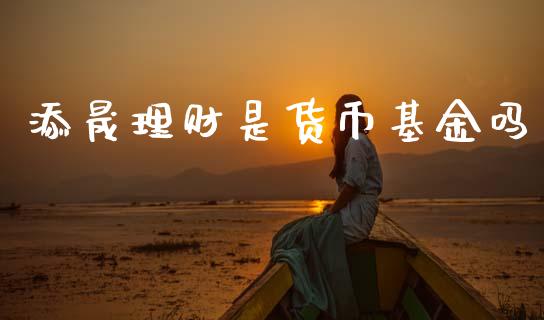 添晟理财是货币基金吗_https://www.apanben.com_财经资讯_第1张
