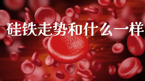 硅铁走势和什么一样_https://www.apanben.com_股市指导_第1张
