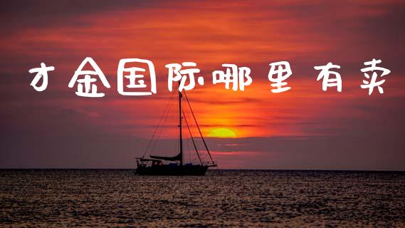 才金国际哪里有卖_https://www.apanben.com_期货学院_第1张