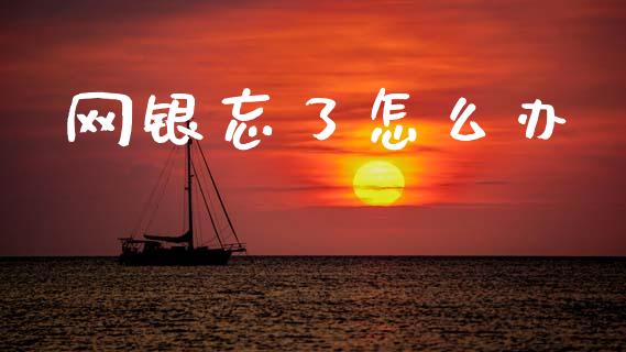 网银忘了怎么办_https://www.apanben.com_股市分析_第1张