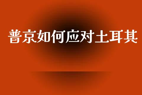 普京如何应对土耳其_https://www.apanben.com_在线喊单_第1张