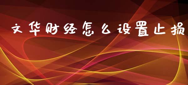 文华财经怎么设置止损_https://www.apanben.com_股市分析_第1张