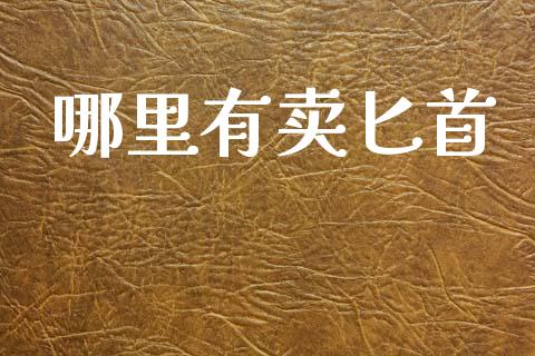 哪里有卖匕首_https://www.apanben.com_期货学院_第1张
