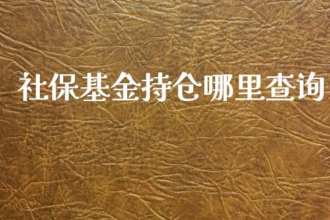 社保基金持仓哪里查询_https://www.apanben.com_期货学院_第1张