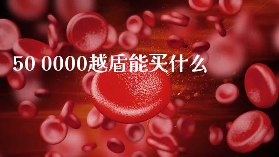 50 0000越盾能买什么_https://www.apanben.com_股市分析_第1张