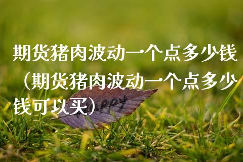 期货猪肉波动一个点多少钱（期货猪肉波动一个点多少钱可以买）_https://www.apanben.com_期货学院_第1张