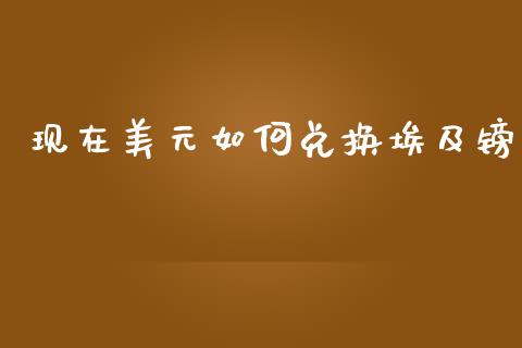 现在美元如何兑换埃及镑_https://www.apanben.com_财经资讯_第1张