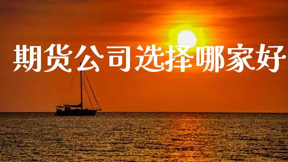 期货公司选择哪家好_https://www.apanben.com_国际财经_第1张