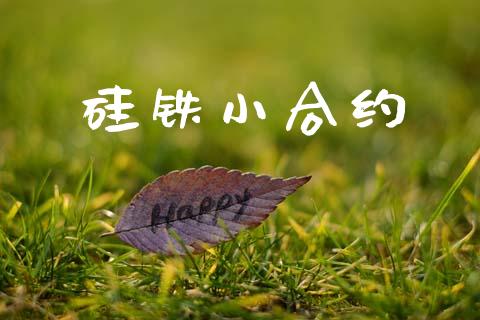 硅铁小合约_https://www.apanben.com_财经资讯_第1张