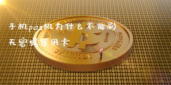 手机pos机为什么不能刷无密码信用卡_https://www.apanben.com_股票怎么玩_第1张