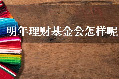 明年理财基金会怎样呢_https://www.apanben.com_国际财经_第1张