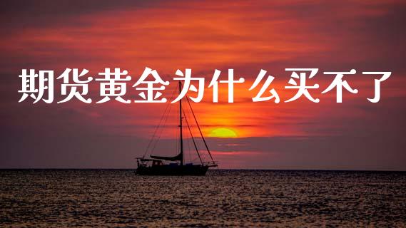 期货黄金为什么买不了_https://www.apanben.com_期货学院_第1张
