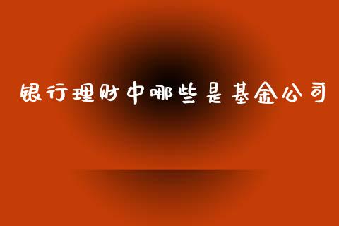 银行理财中哪些是基金公司_https://www.apanben.com_国际财经_第1张