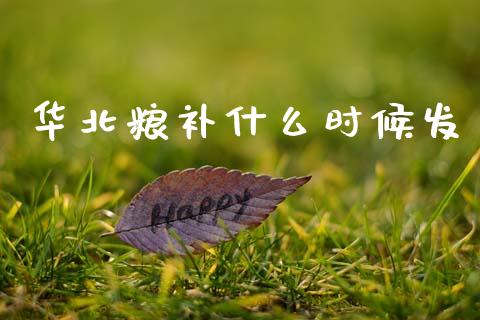 华北粮补什么时候发_https://www.apanben.com_财经资讯_第1张