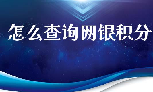 怎么查询网银积分_https://www.apanben.com_国际财经_第1张