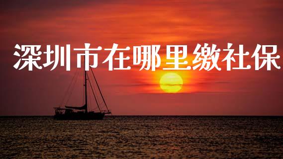 深圳市在哪里缴社保_https://www.apanben.com_股市分析_第1张