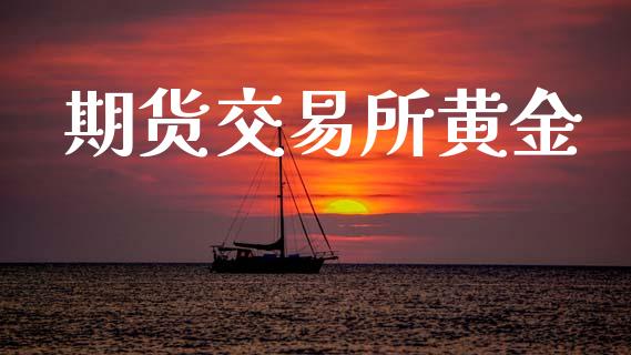 期货交易所黄金_https://www.apanben.com_国际期货_第1张