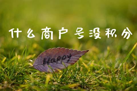 什么商户号没积分_https://www.apanben.com_股市分析_第1张