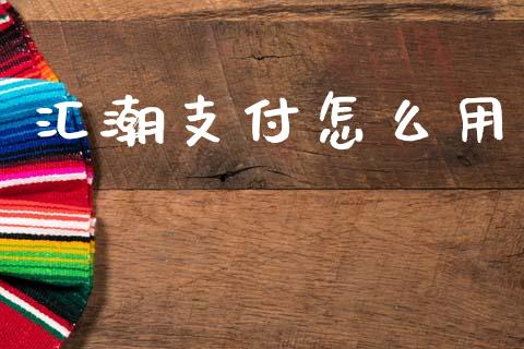 汇潮支付怎么用_https://www.apanben.com_国际财经_第1张