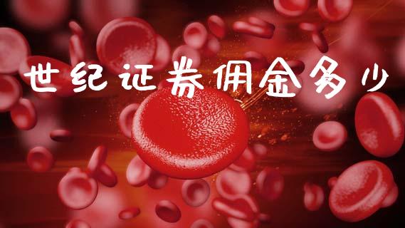 世纪证券佣金多少_https://www.apanben.com_在线喊单_第1张