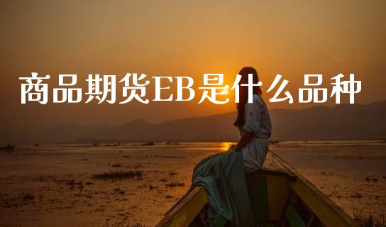 商品期货EB是什么品种_期货学院_第1张_安贝财经网 商品期货EB是什么品种_https://www.apanben.com_期货学院_第1张