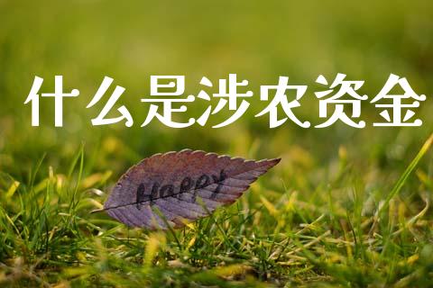 什么是涉农资金_https://www.apanben.com_期货学院_第1张