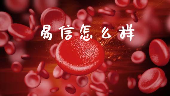 易信怎么样_https://www.apanben.com_财经资讯_第1张