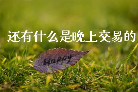 还有什么是晚上交易的_https://www.apanben.com_期货学院_第1张