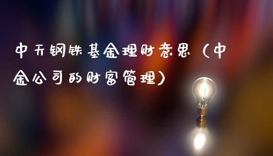 中天钢铁基金理财意思（中金公司的财富管理）_https://www.apanben.com_国际财经_第1张