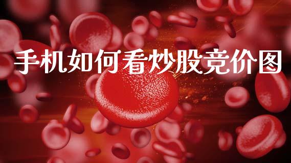 手机如何看炒股竞价图_https://www.apanben.com_期货学院_第1张