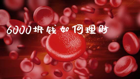 6000块钱如何理财_https://www.apanben.com_期货学院_第1张