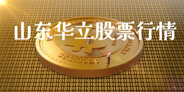 山东华立股票行情_https://www.apanben.com_股票怎么玩_第1张