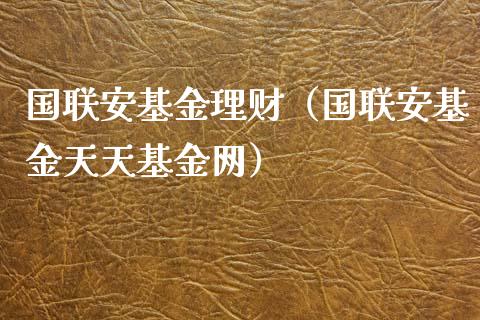 国联安基金理财（国联安基金天天基金网）_https://www.apanben.com_国际财经_第1张