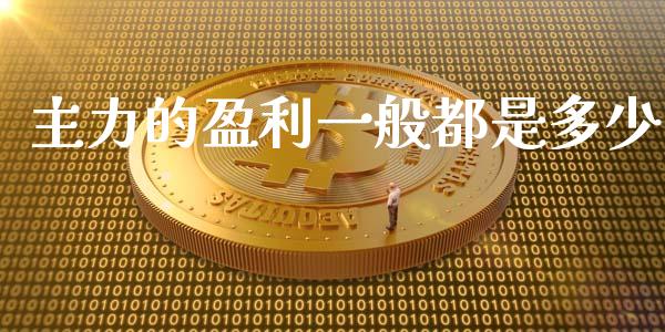 主力的盈利一般都是多少_https://www.apanben.com_期货学院_第1张