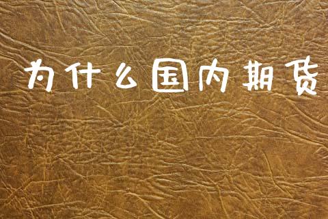 为什么国内期货_https://www.apanben.com_国际期货_第1张
