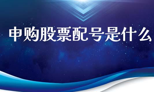 申购股票配号是什么_https://www.apanben.com_在线喊单_第1张
