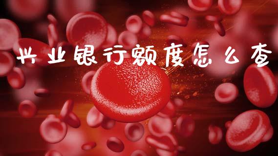 兴业银行额度怎么查_https://www.apanben.com_股市指导_第1张
