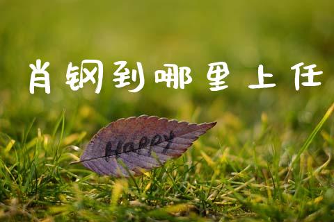 肖钢到哪里上任_https://www.apanben.com_股市指导_第1张