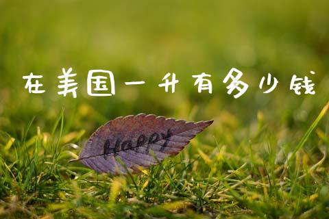 在美国一升有多少钱_https://www.apanben.com_国际期货_第1张