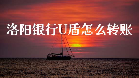 洛阳银行U盾怎么转账_https://www.apanben.com_期货学院_第1张