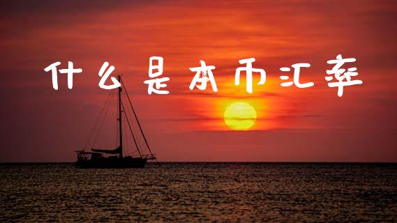 什么是本币汇率_https://www.apanben.com_股票怎么玩_第1张