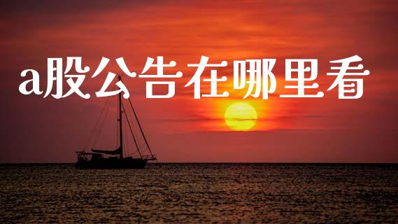 a股公告在哪里看_https://www.apanben.com_财经资讯_第1张