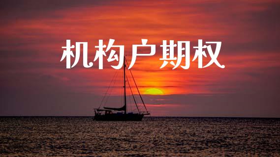 机构户期权_https://www.apanben.com_股市指导_第1张