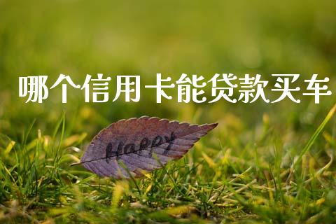 哪个信用卡能贷款买车_https://www.apanben.com_国际期货_第1张